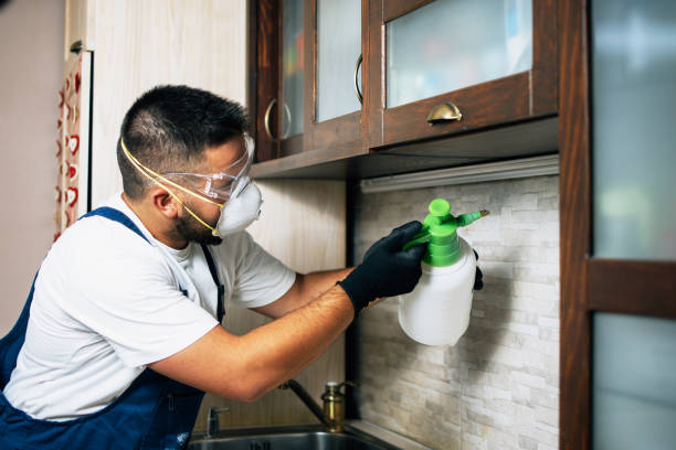 Trusted Beaver, PA Pest Control Experts